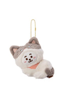 Chaveiro BT21 Gatinhos | 🐱 Adote um BT21 Gatinho!